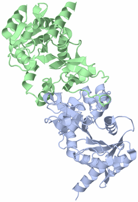 Image Biological Unit 3