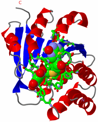 Image Asym./Biol. Unit - sites