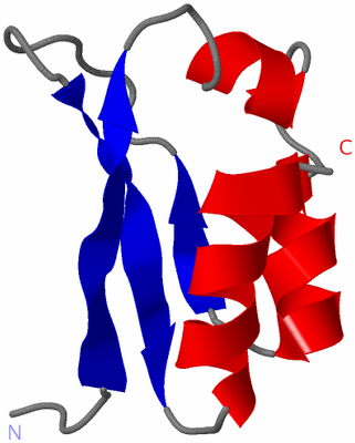 Image NMR Structure - model 1