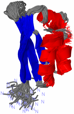 Image NMR Structure - all models