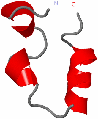 Image NMR Structure - model 1