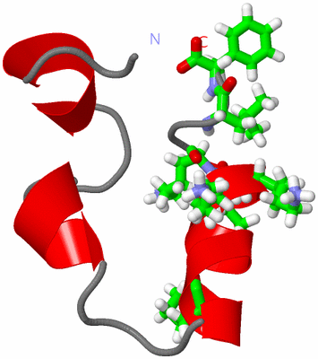 Image NMR Structure - model 1, sites