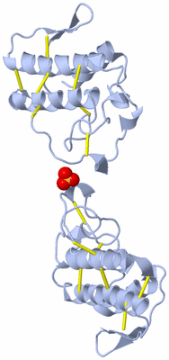 Image Biological Unit 3