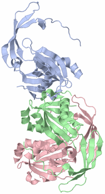 Image Asymmetric Unit