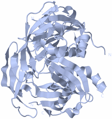 Image Biological Unit 1