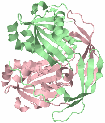 Image Biological Unit 2