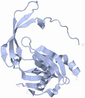 Image Biological Unit 3