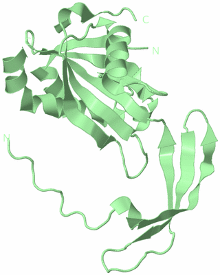 Image Biological Unit 4