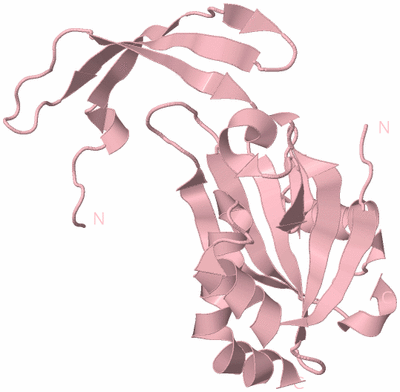 Image Biological Unit 5