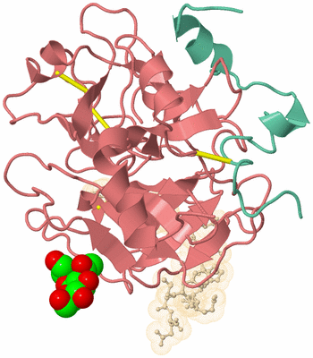 Image Biological Unit 1