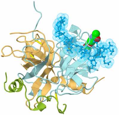 Image Biological Unit 2