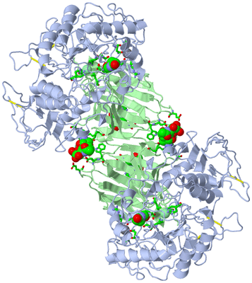 Image Biol. Unit 1 - sites