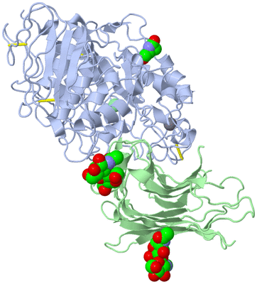 Image Biological Unit 2