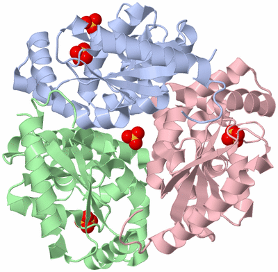 Image Asym./Biol. Unit