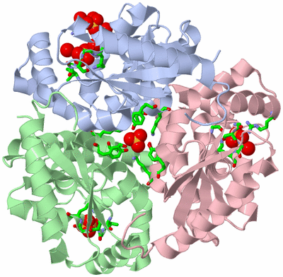 Image Asym./Biol. Unit - sites