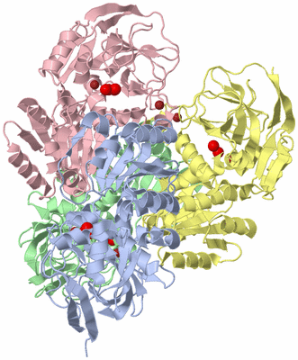 Image Asym./Biol. Unit