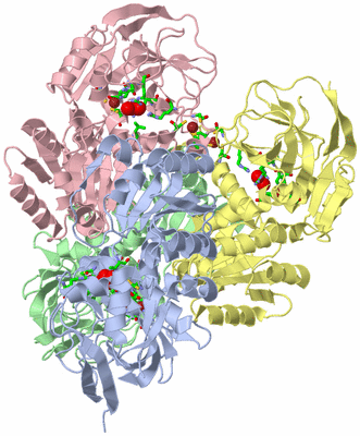 Image Asym./Biol. Unit - sites