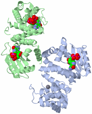 Image Asymmetric Unit