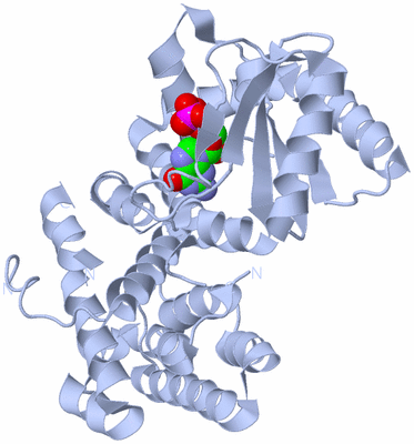 Image Biological Unit 1