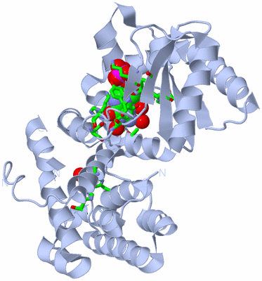 Image Biol. Unit 1 - sites