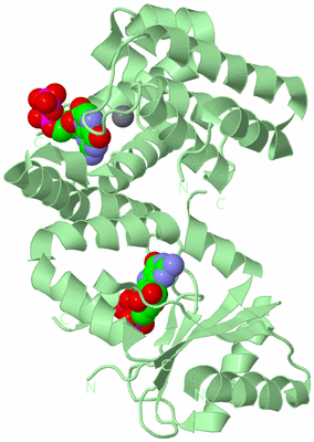 Image Biological Unit 2