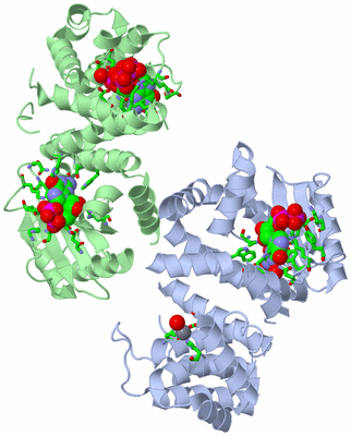 Image Asym. Unit - sites
