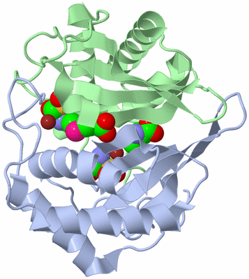 Image Asym./Biol. Unit