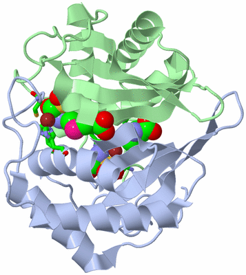 Image Asym./Biol. Unit - sites