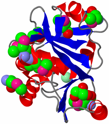 Image Asym./Biol. Unit