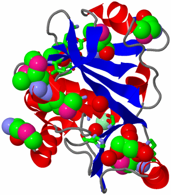 Image Asym./Biol. Unit - sites