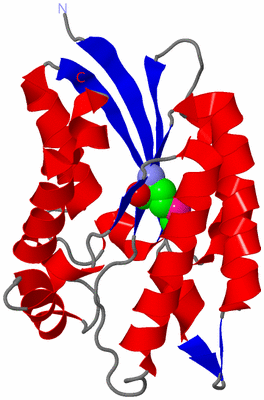 Image Asymmetric Unit
