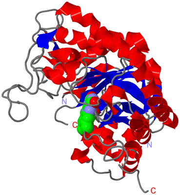 Image Asym./Biol. Unit