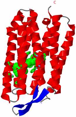 Image Asym. Unit - sites