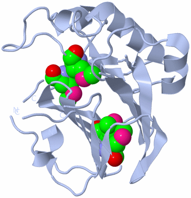 Image Biological Unit 1