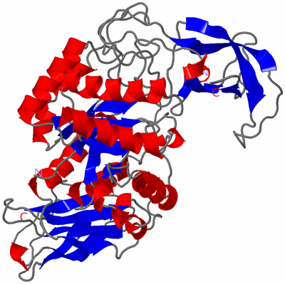 Image Asym./Biol. Unit