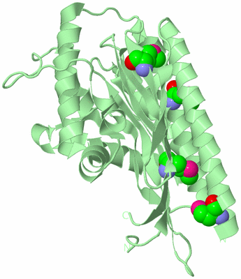 Image Biological Unit 2