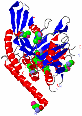 Image Asym./Biol. Unit