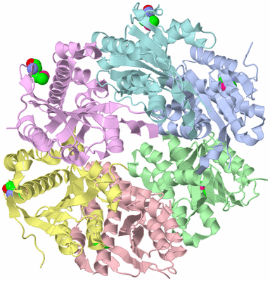 Image Asym./Biol. Unit