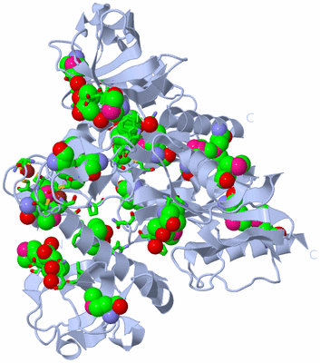 Image Biol. Unit 1 - sites