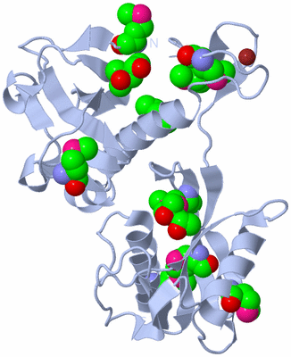 Image Biological Unit 2