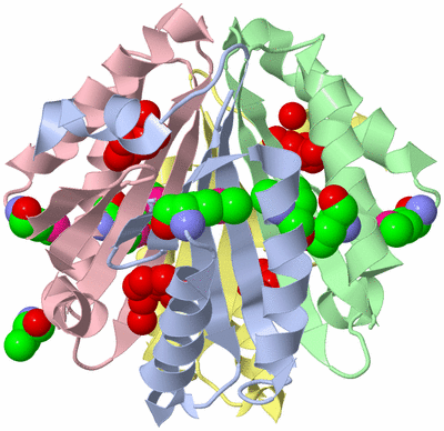 Image Asym./Biol. Unit