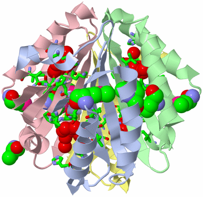 Image Asym./Biol. Unit - sites