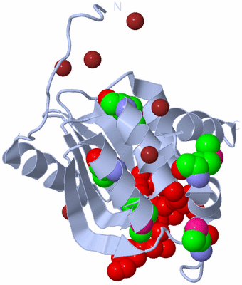 Image Biological Unit 1