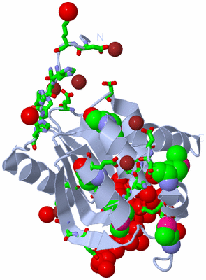 Image Biol. Unit 1 - sites