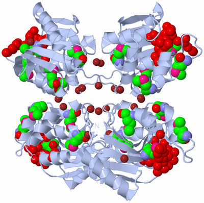 Image Biological Unit 2