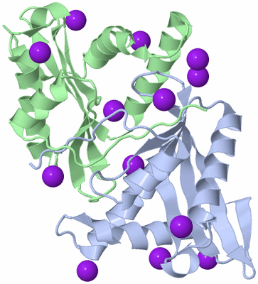 Image Biological Unit 2