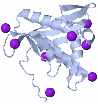 Image Biological Unit 3