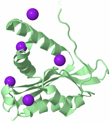 Image Biological Unit 4