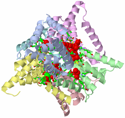 Image Asym./Biol. Unit - sites