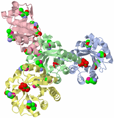 Image Asymmetric Unit